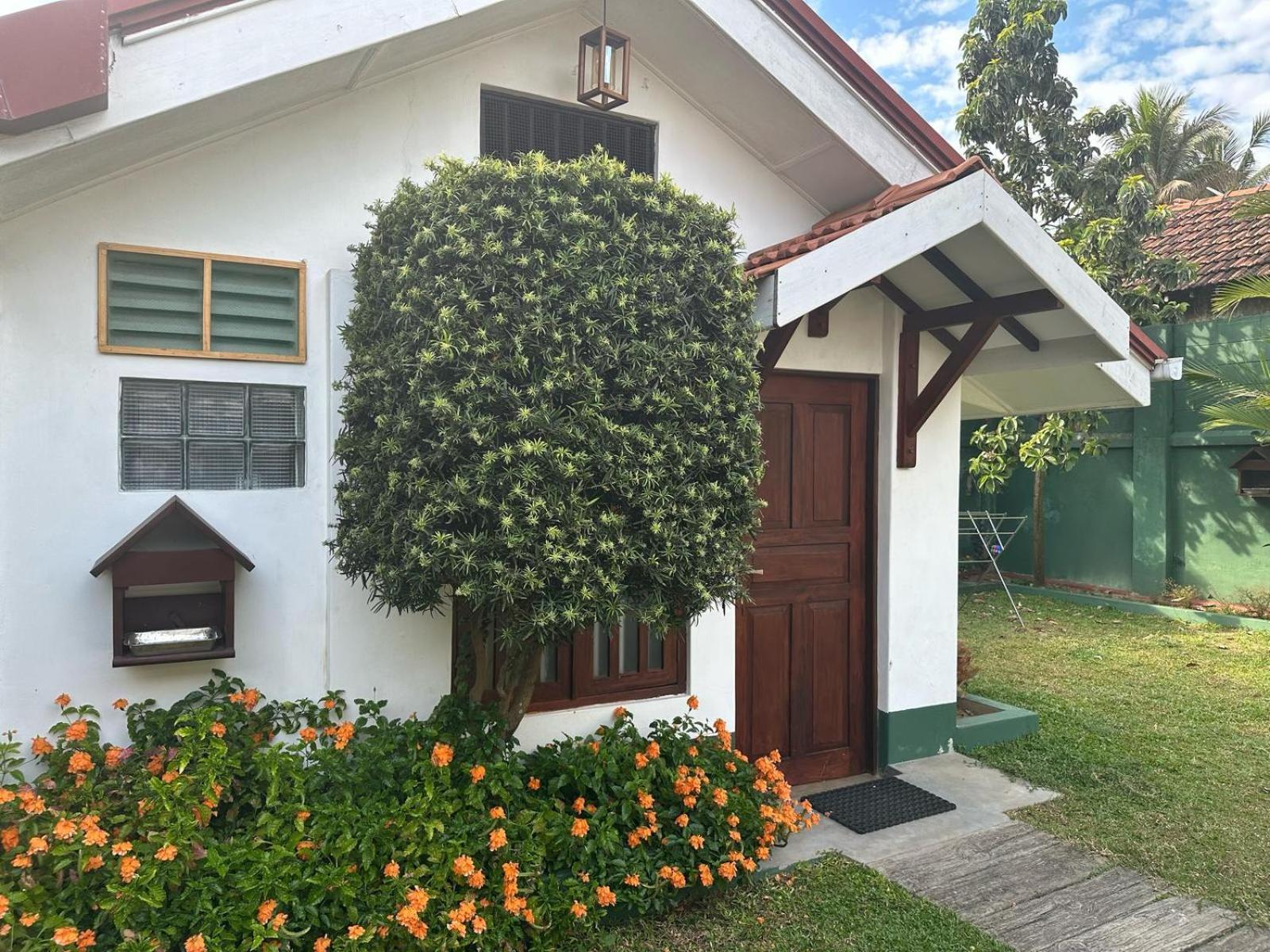 Hotel Hamilton House Negombo Zewnętrze zdjęcie